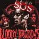SOS (SHOOT ON SIGHT) (FREE ACCESS)