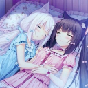 Paws and playmates Discord server icon