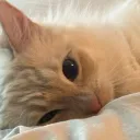 EllieGoobie's Discord
