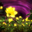 Garden of Chaos