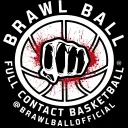 Brawl Ball Official's server