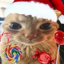 🎄 Braincell Basement ❄