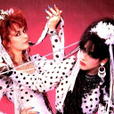 Switchblade Fan Club Discord server icon