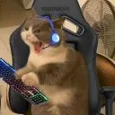 𝘿𝙞𝙨𝙜𝙖𝙢𝙚𝙯𝙤𝙣𝙚