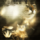 🌽🍄Children of the Corn🍄🌽