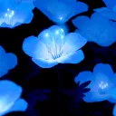 𝚃𝚑𝚎 𝚂𝚒𝚕𝚕𝚢 𝙷𝚊𝚗𝚐𝚘𝚞𝚝