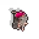 Rats & Frogs SMP