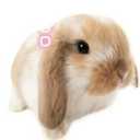 Una♡ bunny harmony 🐇💮 Discord server icon