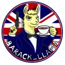 Barack Llama Community