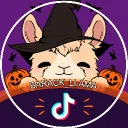 Barack Llama Community