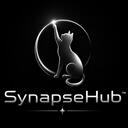SynapseHubTM (In trasferimento..) Discord Server Icon