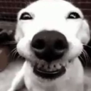 soda’s basement Discord server icon