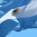 Argentina┃War Era