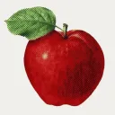 🍎 　 　 ∿ 　 　 amanda