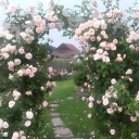 𝚃𝚑𝚎 𝙱𝚕𝚘𝚘𝚖𝚢 𝙶𝚊𝚛𝚍𝚎𝚗