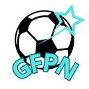 GFPN | GLOBALNA FEDERACJA PIŁKI NOŻNEJ | Classic Version Discord Server Icon