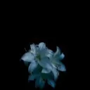 /Slythrix’s Hollow.