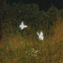 the oathborn | faerie rp ･ ̟ ✧.* ❀ Discord server icon