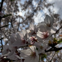 R-Z-P Discord server icon