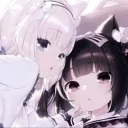 kitty haven  ₍^. .^₎♡