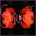 Sirkvt Discord server icon