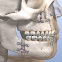 Dentofacial Aesthetics Discord server icon