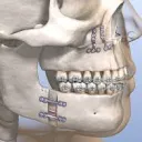 Dentofacial Aesthetics server icon