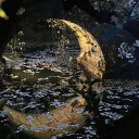 ᴅʀᴇᴀᴍꜱᴄᴀᴘᴇ 🌙 Discord server icon