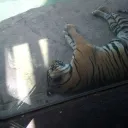 Funny day Discord server icon