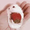 /genuinely ₊˚・ Discord server icon