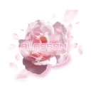 Blossom・Gaming + Mental Health's icon