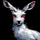 White Doe