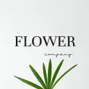 John植商店