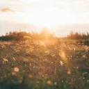 Healing from Ghosting