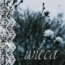 ⛤|| ᥕіᥴᥴᥲ - ᴛᴇᴇɴ ʜᴀɴɢᴏᴜᴛ