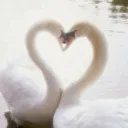 🦢 Lullaby Garden 🦢  |: ʜᴀɴɢᴏᴜᴛ & ᴠᴄ ʟᴏᴜɴɢᴇ