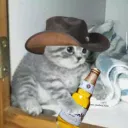 CCT (cool cowboy thing)