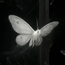 shards of Mirrors