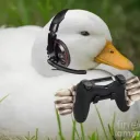 Gam1ng D0j0 / G0ated Dum9st3r