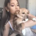 ˖ ִֶָ࣪☾. /𝘮𝘰𝘰𝘯𝘭𝘪𝘨𝘩𝘵 ﹒sfw ﹒non-tox ﹒ariana grande ♡
