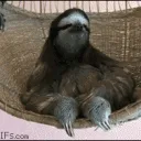 The Playground Discord Server Icon