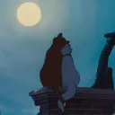 ｡◟𓏲　୧୨ /luv4you　𓈒𓈒𓈒