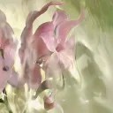 여름    ᥬᩤ    silvia