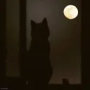 Darkness Services