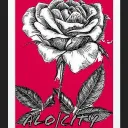Elocity