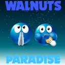 walnut's paradise! icon