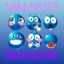 walnut's paradise! Discord server icon