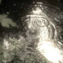 aurelia falls ★彡