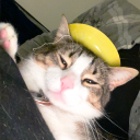 Discovery icon for Gully’s Gatitos Discord server