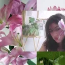 ◞                 fleur      𝜗𝜚 ࣪˖